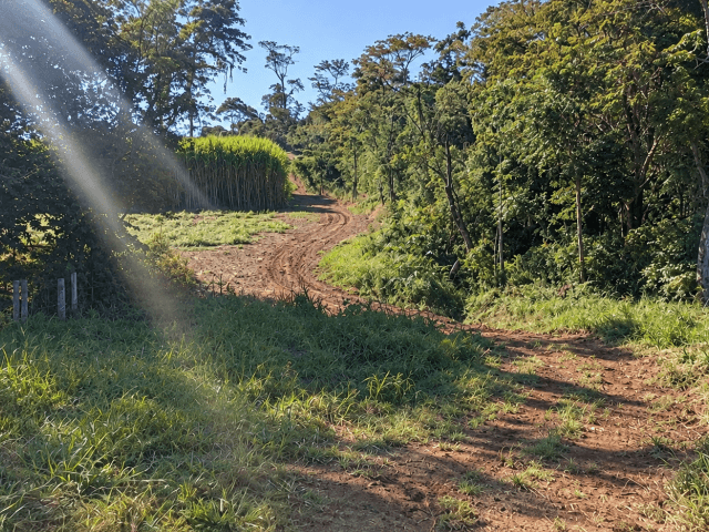 Rural em leilão judicial em Serinha, Laranjal Paulista — Laranjal Paulista, SP