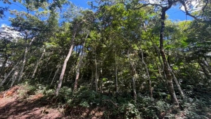 Terreno em leilão extrajudicial em Quebra Frascos, Teresópolis — Est. Francisco Smolka, 118