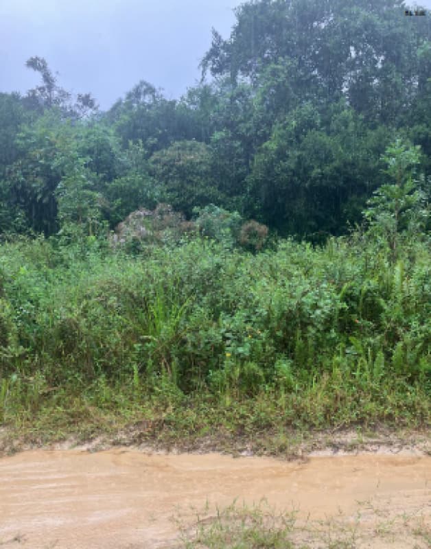 Terreno em leilão judicial em Jardim Coronel, Itanhaém — Avenida dos Feirantes, s/n, próximo ao lote 24, quadra 27