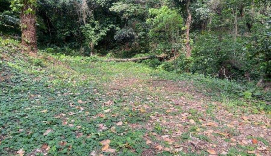 Terreno em leilão extrajudicial em Jacarepaguá, Rio de Janeiro — Rua Projetada A, Lote 6