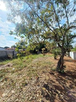 Terreno de 784m² em Leilão — Rua Dois, nº 01, Jardim Nossa Senhora Aparecida II, Saltinho