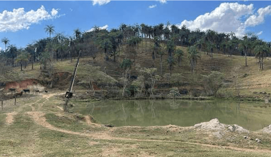 Rural de 52m² em Leilão — Sítio Cachoeirinha, s/n, Grama, São João da Boa Vista