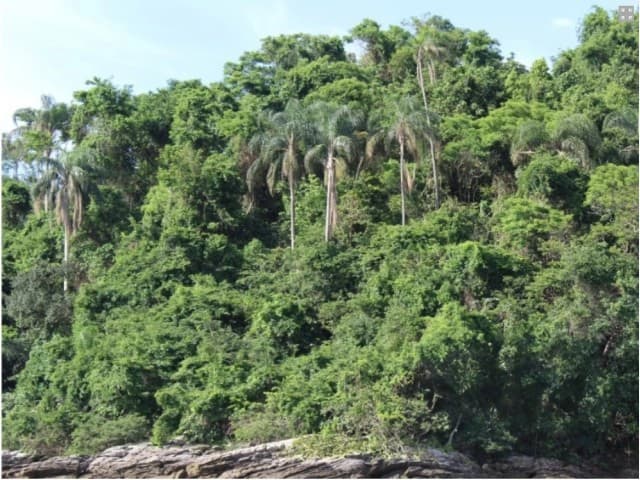 Outros de 32368m² em Leilão — Ilha Duas Irmãs, SN, Mangaratiba